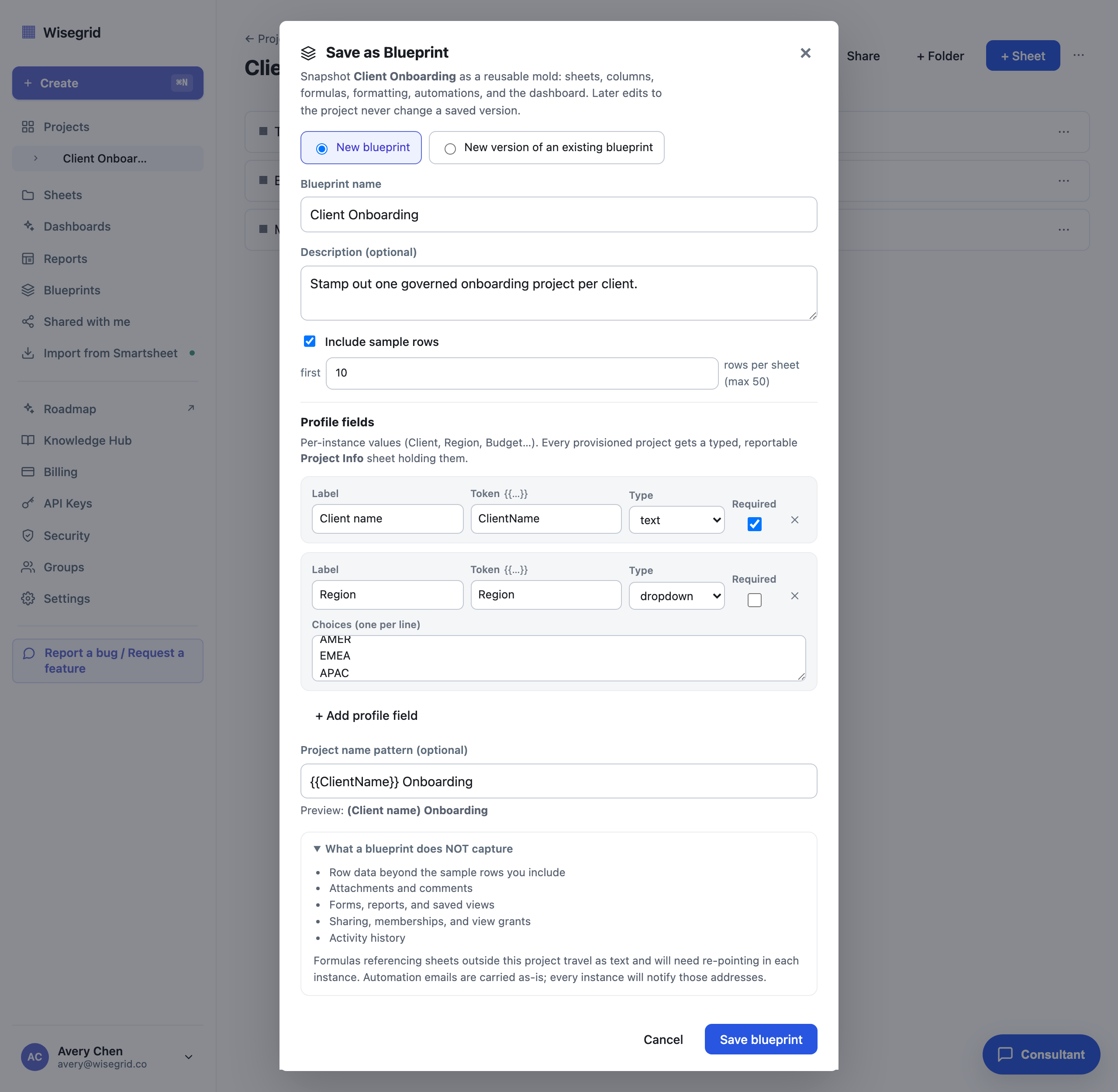The Save as Blueprint modal with a blueprint name, a sample-rows toggle, a typed profile fields editor, a project name pattern with a live preview, and the receipt of what is not captured.